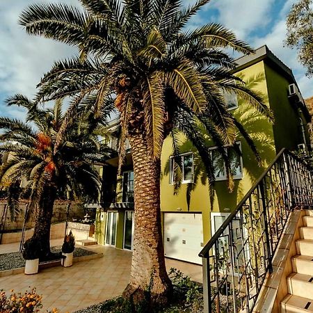 Olive Garden Apartment Petrovac Dış mekan fotoğraf