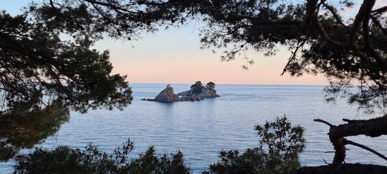 Olive Garden Apartment Petrovac Dış mekan fotoğraf