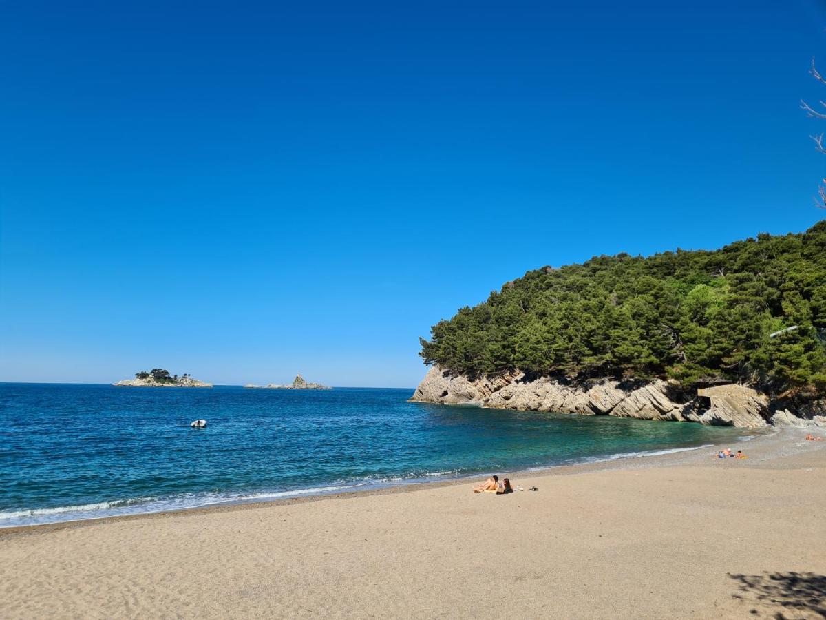 Olive Garden Apartment Petrovac Dış mekan fotoğraf