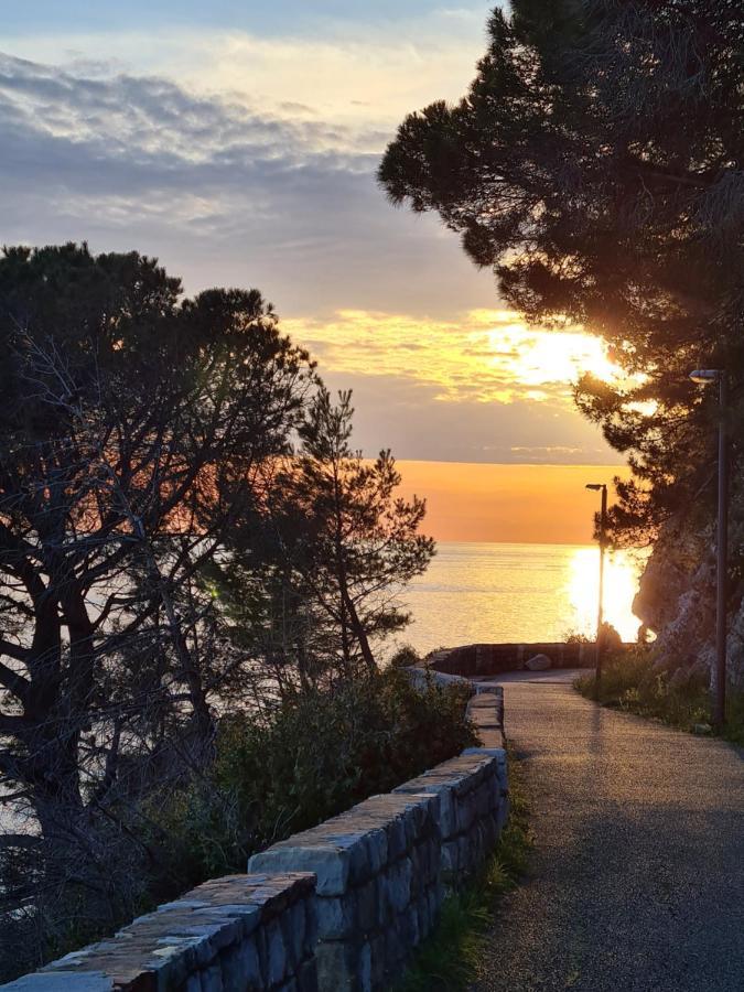 Olive Garden Apartment Petrovac Dış mekan fotoğraf